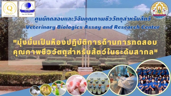 นโยบาย