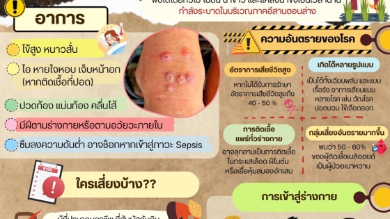 สสส โรคไข้ดิน