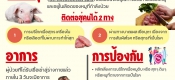 สสส หมูดิบ