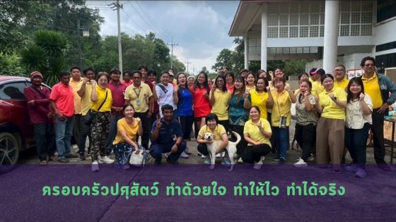 เดิน วิ่ง ออกกำลัง งานไม่พัง หลังไม่หัก