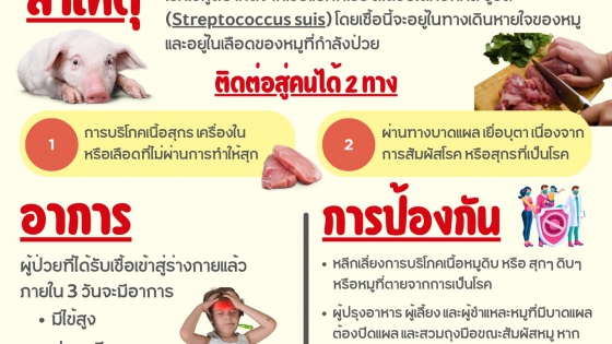 สสส หมูดิบ