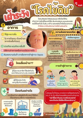 สสส โรคไข้ดิน