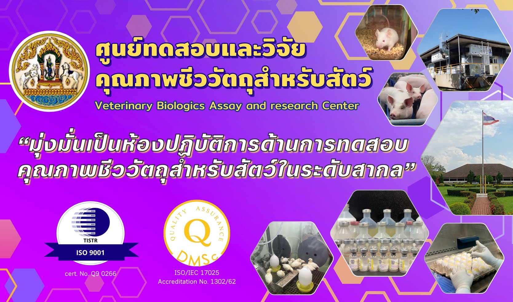 นโยบาย