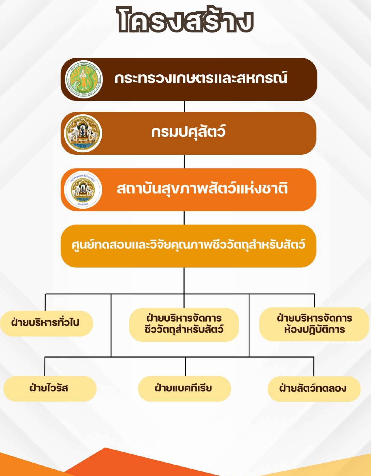 รายงานประจำปี2567 6 page 0001